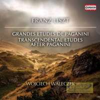 Liszt: Grandes Etudes de Paganini, Transcendental Etudes